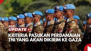 kemlu-tni-di-gaza-tidak-akan-terlibat-operasi-tempur